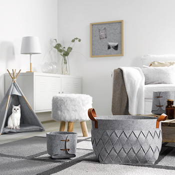 U10 - Actualités - Décoration - Animalerie - Homea