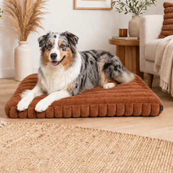 Love Story - Couchage pour chien couleur terracotta