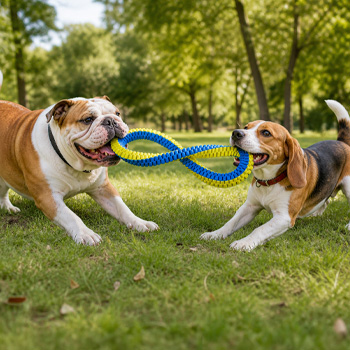 Love Story - Jouet pour chien. Corde tresse bleue jaune